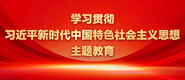 我插入美女小穴视频学习贯彻习近平新时代中国特色社会主义思想主题教育_fororder_ad-371X160(2)